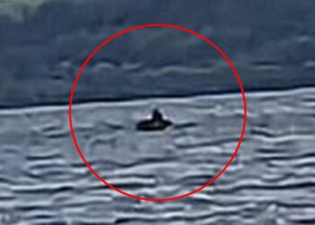 Loch Ness Monster Mysterie: Er Nessie Endelig Set Igen?