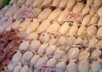 FORSIGTIG: Disse fødevarer kan gøre dig meget syg, og du har dem helt sikkert i dit køkkenskab