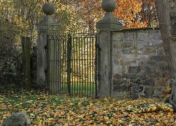 Kun 1% af læserne kan finde kvinden på billedet! Kan du se kvinden?