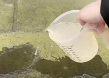 Grøn belægning på dine fliser forsvinder så hurtigt med dette gammeldags middel.