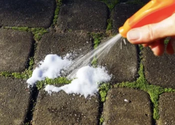 Dette er den bedste løsning mod mos på din indkørsel og terrasse. Inden for 15 minutter er det væk!