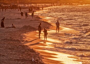 beach, vacation, golden hour