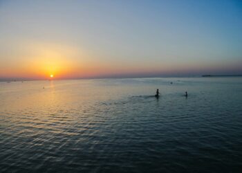 people on sea during sunset