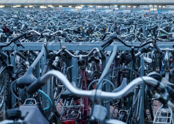 assorted bicycle lot